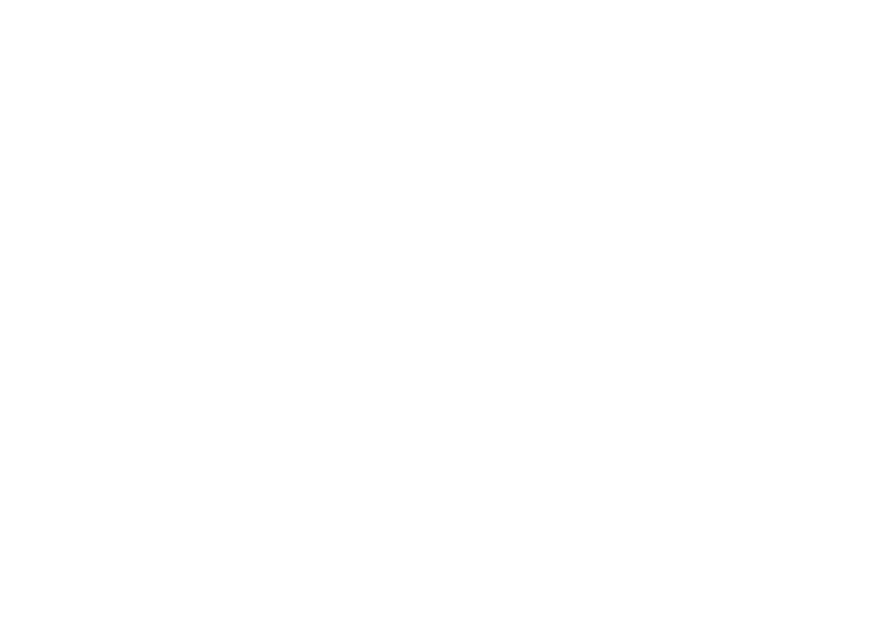 RAZBOR.PRO